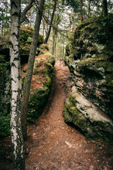 rock corridor in forest