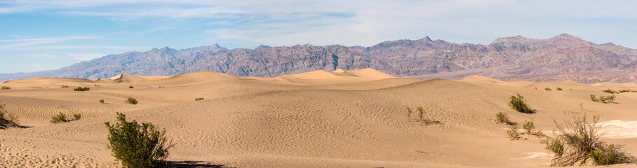 Fototapeta na wymiar Scenic Mesquite Flat Sand Dunes in the Death Valley National Park