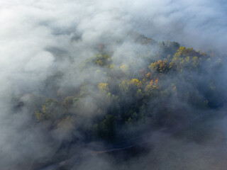 Fall foliage seen from overhead through mist and fog