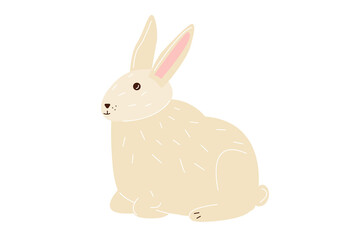 Vector farm animals, rustic domestic rabbit.Agricultural animals in flat style isolated on white background. Children's illustration, can be used in decorations for Easter