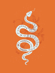 Obraz premium Mystic print with snake and pomegranate branch, vector illustration in trendy linear and silhouette minimal style.