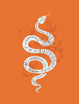 Mystic print with snake and pomegranate branch, vector illustration in trendy linear and silhouette minimal style.