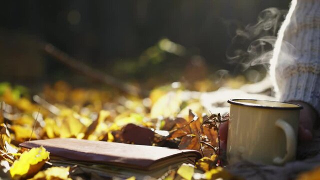 Unrecognizable young woman drinks hot tea from steaming mug while sitting on dry leaves and make notes in paper diary picnic in autumn forest on nice sunny day, detail view