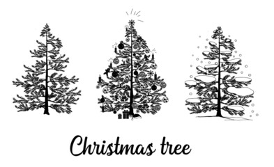Obraz premium Spruce, Pine, Christmas tree,christmas, tree, winter, snow, holiday, fir, 