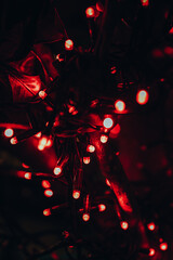 Fototapeta na wymiar Red burning garland lights in the evening darkness. Bokeh background