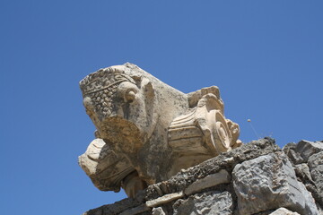 Obraz premium Turkey - ruins of the ancient city of Ephesus, stone bull's head