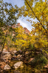 Gorgous landscape of Left Fork Trail to the Subway gorge, Zion NP