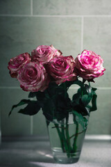 bouquet of pink roses in a morning light
