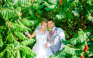 Beautiful and romantic wedding, groom and bride! Family and Marriage. Creation of a family, marriage!