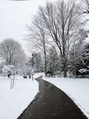 First snow of the winter season 2021-22. 