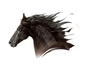 hand-drawn graphic portrait of a horse on a white background © khius