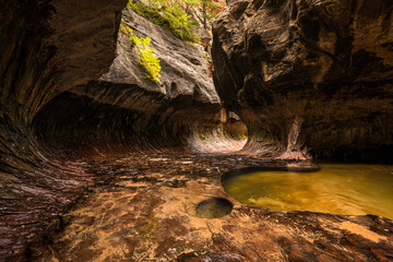 Magnificent Subway gorge landmark in the Zion National Park in Utah