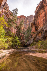 Magnificent Subway gorge landmark in the Zion National Park in Utah