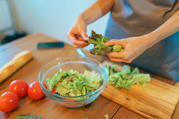 Woman preparing vegetable meal, Vegetarian cooking healthy food in modern kitchen