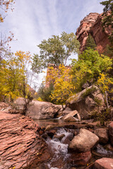 Wild untouched landscape surrounding the Left Fork Creek in Zion NP