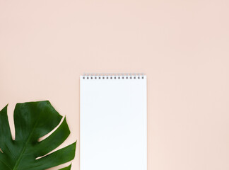 Blank notepad sheet and green monstera leaf on beige background. Scandinavian style minimal working space concept. Copy space