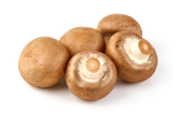 Royal brown champignons, isolated on white background.