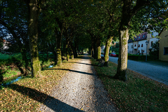 Allee, Feldweg, Baumreihe, Strasse, Weg, B&auml;ume, Kiesweg, Fahrradweg, Laub