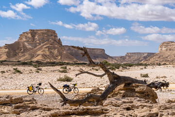 Cycling in the desert of Oman. Bicycles in the vast deserts of Oman, portraying solitude amidst the majestic landscapes.