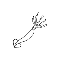 Doodle sea clam squid. Inhabitant of the coral reef. Animal of the ocean, seabed, oceanarium. Hand drawn thin line art vector illustration. Isolated simple element.