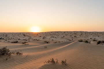 A stunning sunset over the Oman desert, with sand dunes against the orange sky
