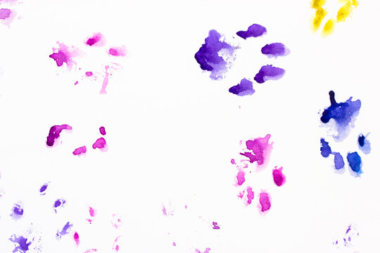 Multicolored cat or dog footprints on white background with space for text. Canine paws marks on the paper surface. Mammal steps. Animals abstract fun backdrop and texture. Funny watercolor drawing.