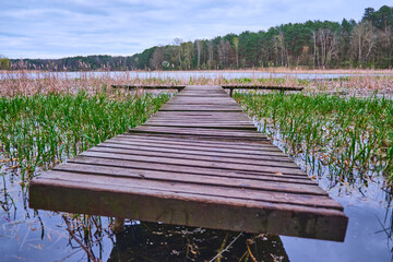 Footbridge over the lake