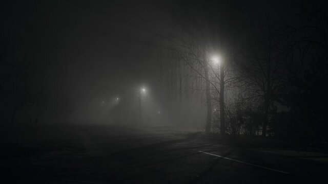 Fog at night with lamp posts
