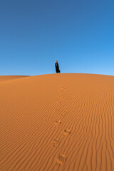 Fototapeta na wymiar person in the sand dunes. Shaqraa, Saudi Arabia 