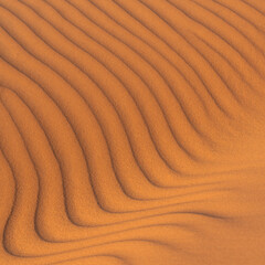 Ripples formed by the wind in the sand dunes of the desert in Saudi Arabia  