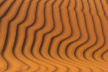 Ripples formed by the wind in the sand dunes of the desert in Saudi Arabia  