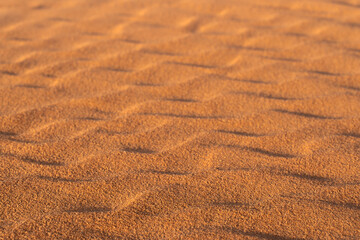 Ripples formed by the wind in the sand dunes of the desert in Saudi Arabia  