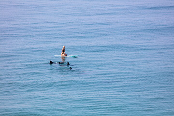 Fototapeta na wymiar A Woman Kayaker off the Coast of California Encounters a Pod of Dolphins and Gets to Interact with them as she Paddles on the Calm Ocean