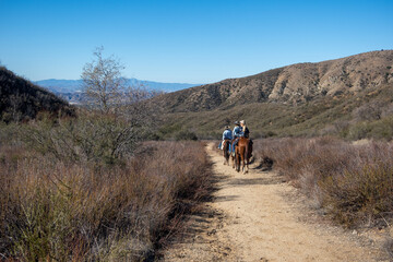 Obraz premium Equestrians Riding their Horses in the California Chaparral Hills on Beautiful Saddle Horses Along a Grassy Dry Trail