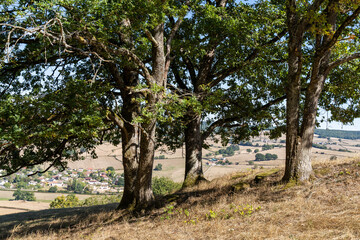 Saint-Symphorien-de-Marmagne, France - september 2020
