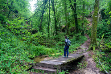 Mullerthal Trail during spring in Little Switzerland, Luxembourg 