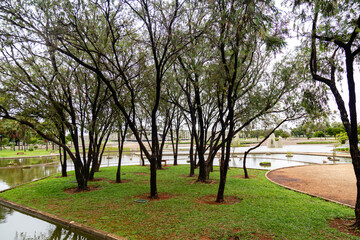 Brasília, DF, Brazil, November 15, 2021: Headquarters in Brasília in front of Praça dos Cristais in the Urban Military Sector in Brasília DF. Trees and garden