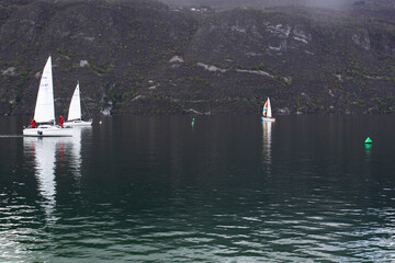 sail boats race with water mountain panoramic view of Lac Bourget  Savoie region France