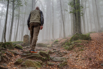Hikers in the fog on the way to Mount "Hirschenstein" in the Bavarian Forest.