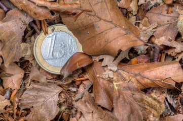 One euro coin lies in withered leaves. Dry times for savers, minus interest rates and inflation are eating away at wealth.
