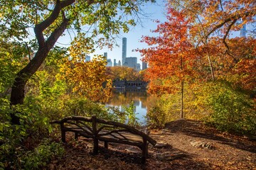 Fototapeta na wymiar Central Park in fall colors autumn season in new york city 