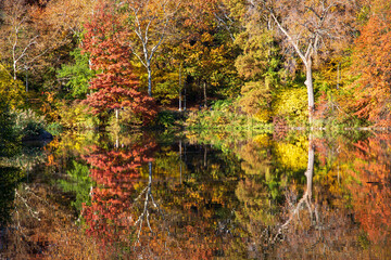 Central Park in fall colors autumn season in new york city 