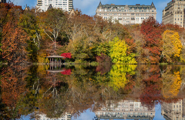 Central Park in fall colors autumn season in new york city 