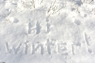 Inscription Hi Winter, written on white background of the snow. Top view. Flat lay. New Year concept