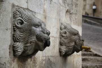 Fototapeta na wymiar lion fountain