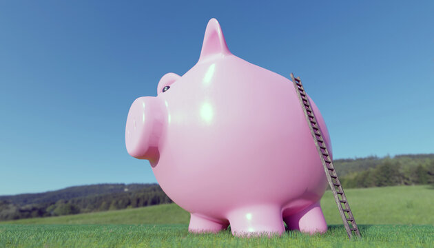 Piggy Money Bank with Ladder