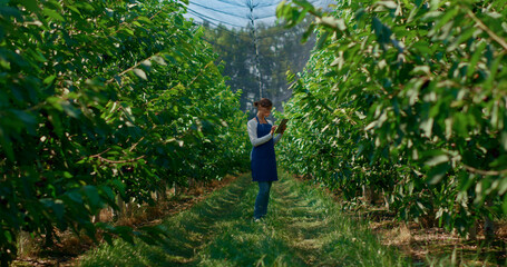 Farm worker woman controlling cultivation process with device on plantation