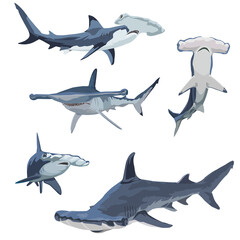 set of hammer head shark vector  - obrazy, fototapety, plakaty