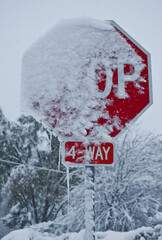 stop sign in snow