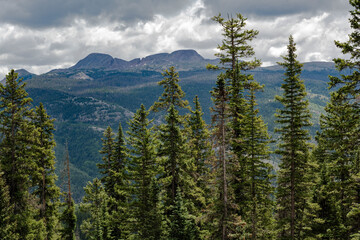 trees mountains stormy skies colorado